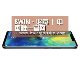 华为无线快充手机