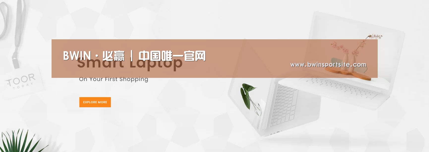 某某网络科技有限公司